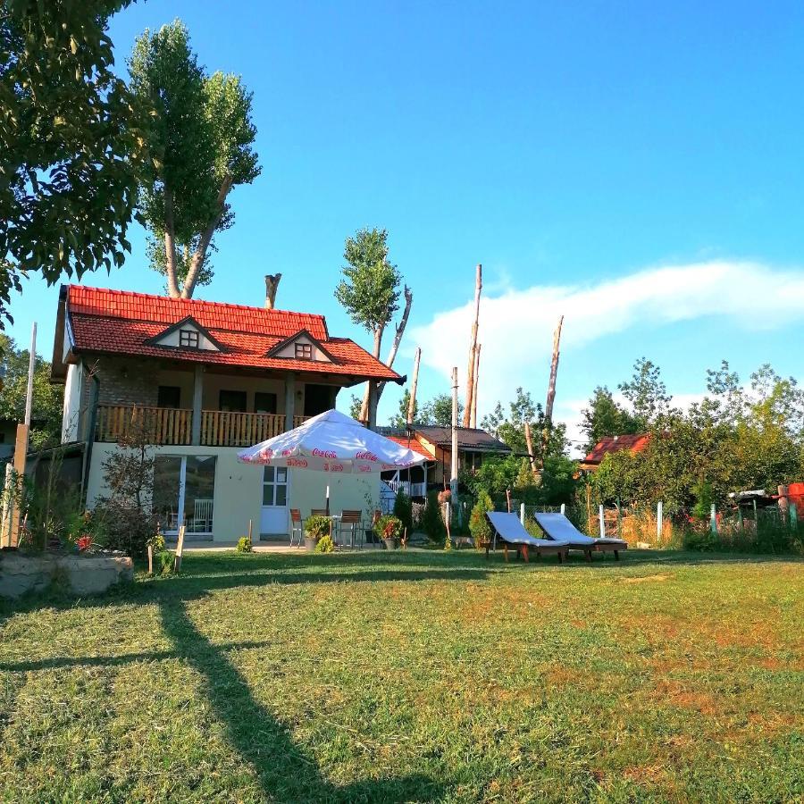 Captain'S House By The Danube River Cerevic Dış mekan fotoğraf