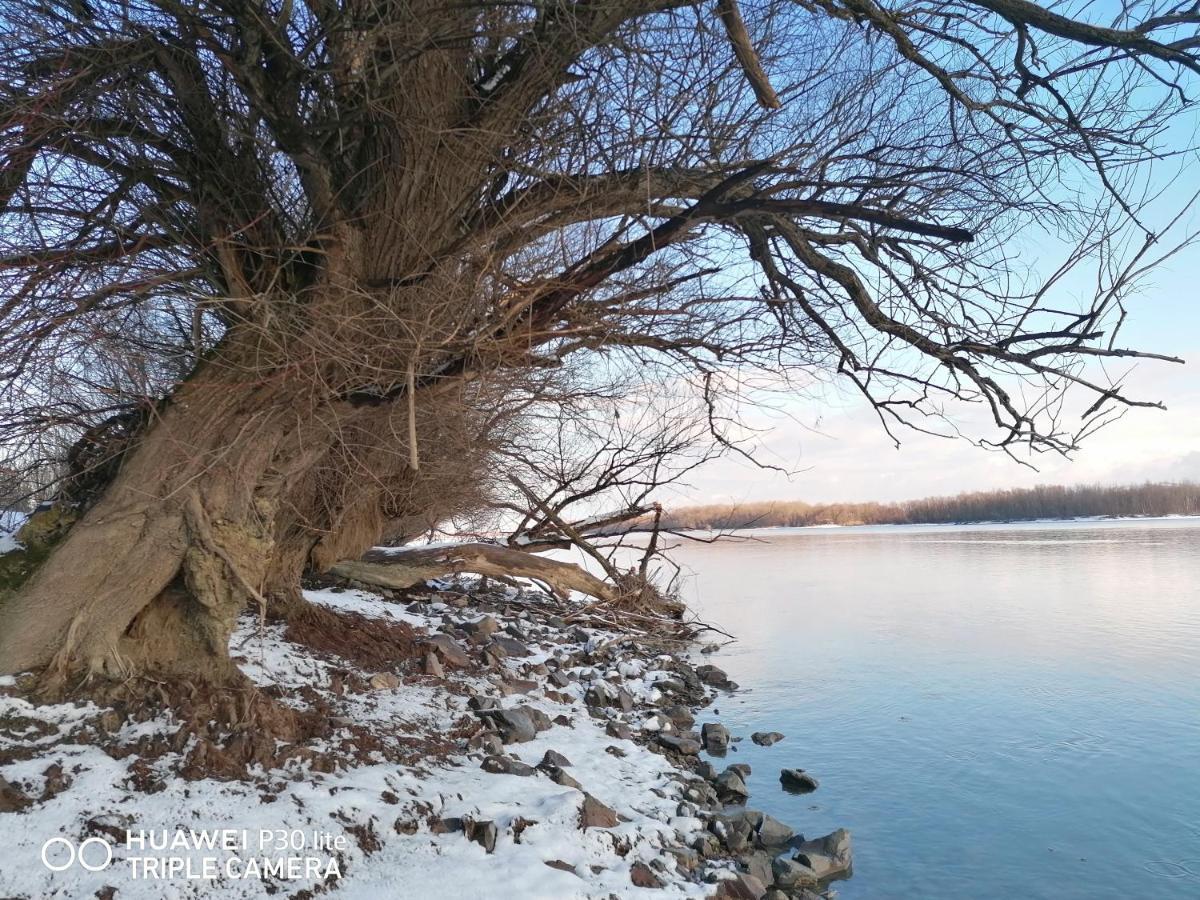 Captain'S House By The Danube River Cerevic Dış mekan fotoğraf