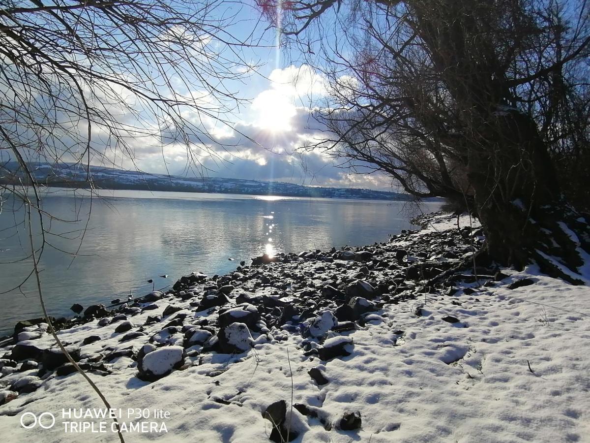 Captain'S House By The Danube River Cerevic Dış mekan fotoğraf